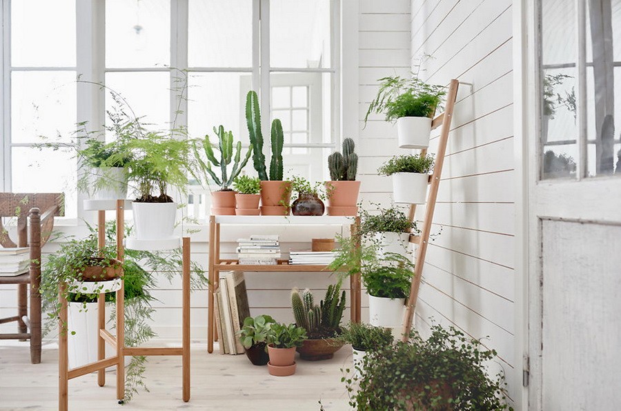 Design a garden in a house with pots and wooden shelves