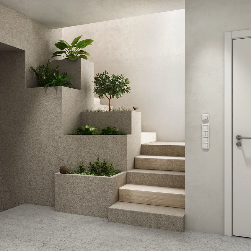 Stair Bordes with Plants picture