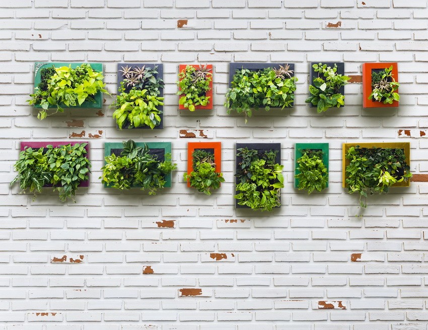 minimalist hanging garden brickwall and vertical garden