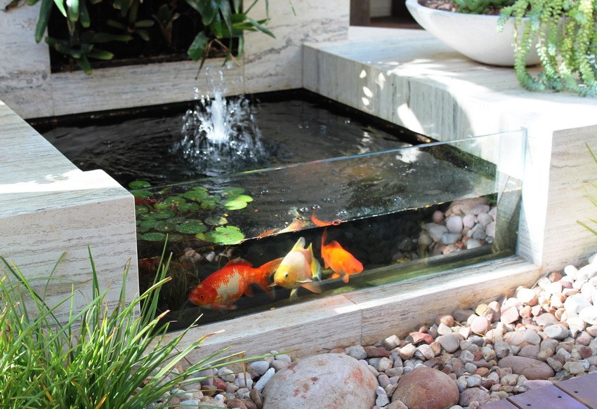 semiquarium fish pond design