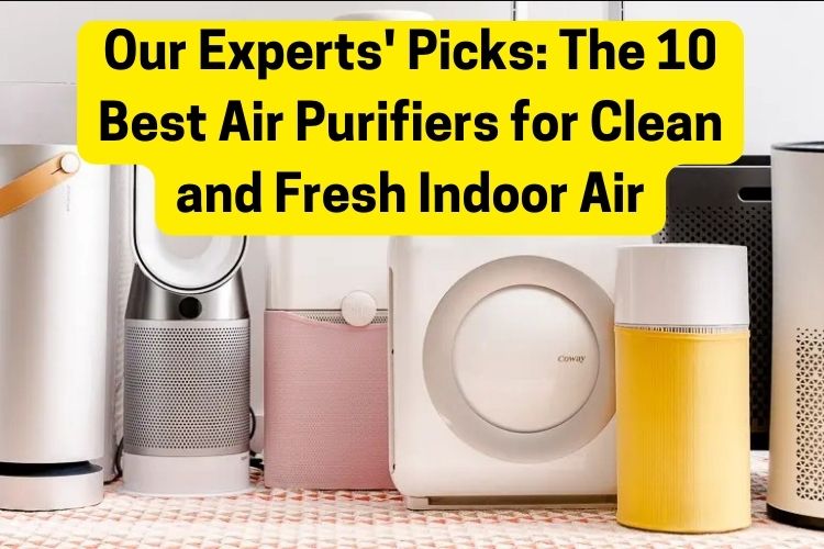 Best Air Purifiers for home