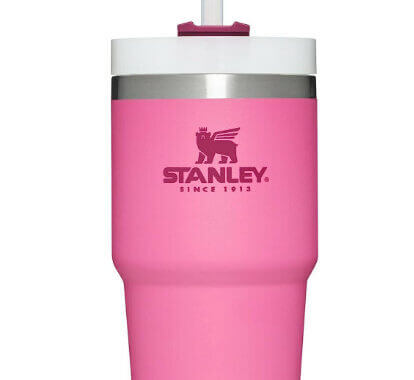 Stanley Adventure Vacuum Quencher Mug