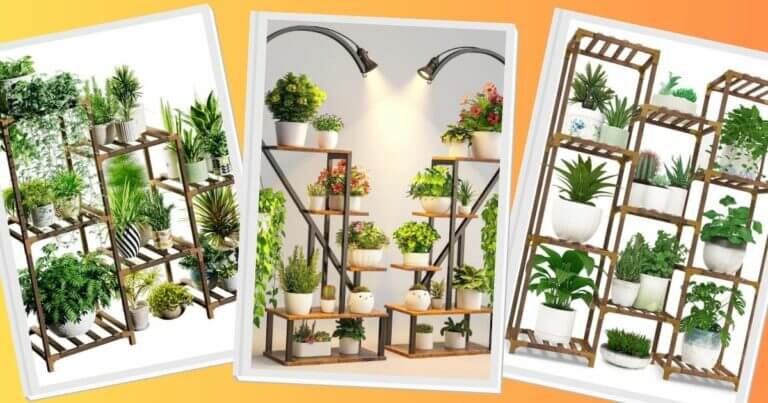 plant stand indoor ideas